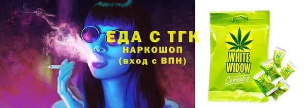 spice Каменка