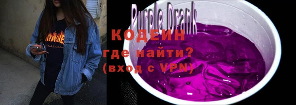 spice Каменка