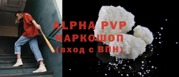spice Каменка