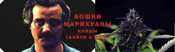 спайс Каменногорск