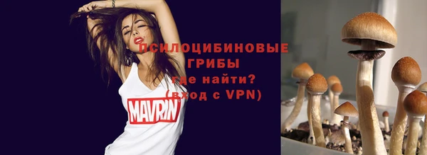 спайс Каменногорск