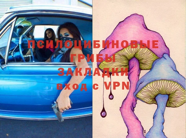 spice Каменка