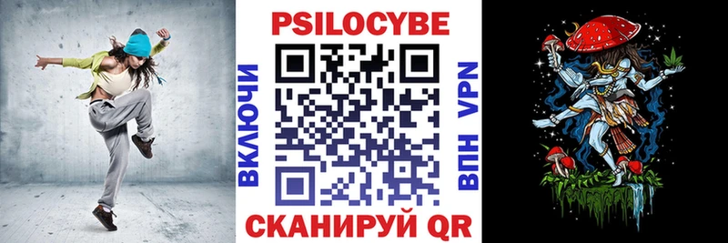 Купить  Новокубанск  Псилоцибиновые грибы мицелий 
